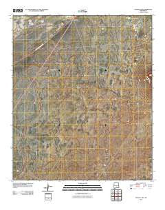 Foster Lake New Mexico Historical topographic map, 1:24000 scale, 7.5 X 7.5 Minute, Year 2010