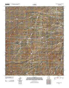 Foster Ranch New Mexico Historical topographic map, 1:24000 scale, 7.5 X 7.5 Minute, Year 2010