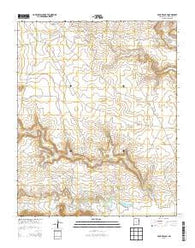 Four V Ranch New Mexico Historical topographic map, 1:24000 scale, 7.5 X 7.5 Minute, Year 2013