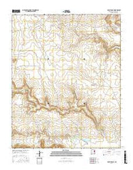 Four V Ranch New Mexico Current topographic map, 1:24000 scale, 7.5 X 7.5 Minute, Year 2017