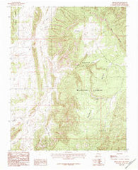French Mesa New Mexico Historical topographic map, 1:24000 scale, 7.5 X 7.5 Minute, Year 1983