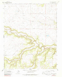 Frutosa Lake New Mexico Historical topographic map, 1:24000 scale, 7.5 X 7.5 Minute, Year 1964