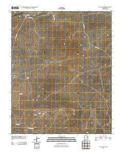 Gallegos NE New Mexico Historical topographic map, 1:24000 scale, 7.5 X 7.5 Minute, Year 2010