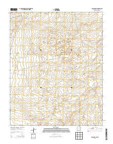 Gallegos NE New Mexico Historical topographic map, 1:24000 scale, 7.5 X 7.5 Minute, Year 2013