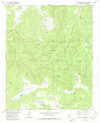 Gallo Mountains East New Mexico Historical topographic map, 1:24000 scale, 7.5 X 7.5 Minute, Year 1981