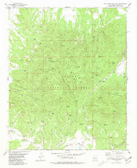 Gallo Mountains West New Mexico Historical topographic map, 1:24000 scale, 7.5 X 7.5 Minute, Year 1981
