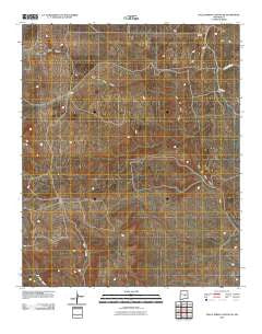 Gallo Spring Canyon NE New Mexico Historical topographic map, 1:24000 scale, 7.5 X 7.5 Minute, Year 2010