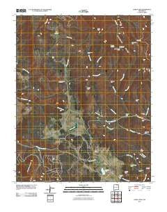 Garcia Peak New Mexico Historical topographic map, 1:24000 scale, 7.5 X 7.5 Minute, Year 2010