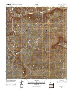 George Ranch New Mexico Historical topographic map, 1:24000 scale, 7.5 X 7.5 Minute, Year 2010