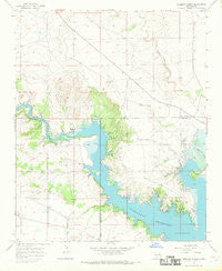 Gibbons Ranch New Mexico Historical topographic map, 1:24000 scale, 7.5 X 7.5 Minute, Year 1966