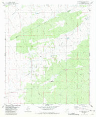 Gilmore Draw New Mexico Historical topographic map, 1:24000 scale, 7.5 X 7.5 Minute, Year 1981