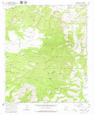 Glenwood New Mexico Historical topographic map, 1:24000 scale, 7.5 X 7.5 Minute, Year 1965