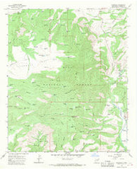 Glenwood New Mexico Historical topographic map, 1:24000 scale, 7.5 X 7.5 Minute, Year 1965