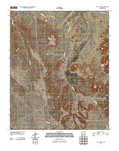Goat Spring New Mexico Historical topographic map, 1:24000 scale, 7.5 X 7.5 Minute, Year 2010