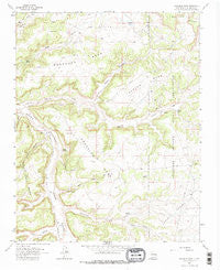 Gonzales Mesa New Mexico Historical topographic map, 1:24000 scale, 7.5 X 7.5 Minute, Year 1963