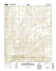 Gran Quivira New Mexico Historical topographic map, 1:24000 scale, 7.5 X 7.5 Minute, Year 2013