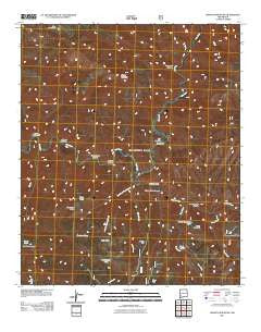 Granny Mountain New Mexico Historical topographic map, 1:24000 scale, 7.5 X 7.5 Minute, Year 2011