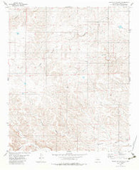 Granville Canyon New Mexico Historical topographic map, 1:24000 scale, 7.5 X 7.5 Minute, Year 1981