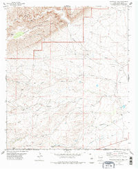 Grapevine Draw New Mexico Historical topographic map, 1:24000 scale, 7.5 X 7.5 Minute, Year 1978