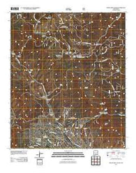 Graveyard Canyon New Mexico Historical topographic map, 1:24000 scale, 7.5 X 7.5 Minute, Year 2011