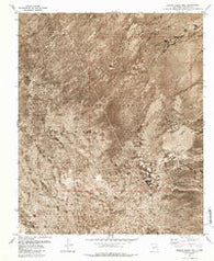 Greens Baber Well New Mexico Historical topographic map, 1:24000 scale, 7.5 X 7.5 Minute, Year 1981