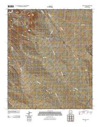 Greg Hills New Mexico Historical topographic map, 1:24000 scale, 7.5 X 7.5 Minute, Year 2010