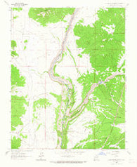 Guadalupe Mountain New Mexico Historical topographic map, 1:24000 scale, 7.5 X 7.5 Minute, Year 1963