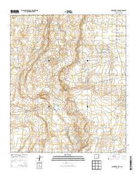 Hackberry Lake New Mexico Historical topographic map, 1:24000 scale, 7.5 X 7.5 Minute, Year 2013