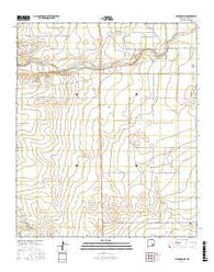 Hagerman SW New Mexico Current topographic map, 1:24000 scale, 7.5 X 7.5 Minute, Year 2017