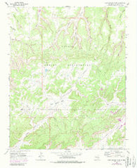 Hard Ground Flats New Mexico Historical topographic map, 1:24000 scale, 7.5 X 7.5 Minute, Year 1963
