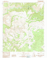 Harden Cienega New Mexico Historical topographic map, 1:24000 scale, 7.5 X 7.5 Minute, Year 1989