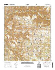 Harden Cienega New Mexico Historical topographic map, 1:24000 scale, 7.5 X 7.5 Minute, Year 2013