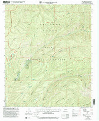 Hay Mesa New Mexico Historical topographic map, 1:24000 scale, 7.5 X 7.5 Minute, Year 1999