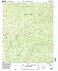 Hay Mesa New Mexico Historical topographic map, 1:24000 scale, 7.5 X 7.5 Minute, Year 1999