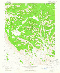 Heifer Point New Mexico Historical topographic map, 1:24000 scale, 7.5 X 7.5 Minute, Year 1963