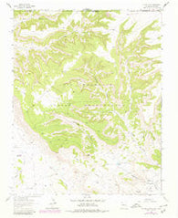 Heifer Point New Mexico Historical topographic map, 1:24000 scale, 7.5 X 7.5 Minute, Year 1963
