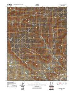 Heifer Point New Mexico Historical topographic map, 1:24000 scale, 7.5 X 7.5 Minute, Year 2010