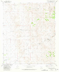 Hembrillo Basin New Mexico Historical topographic map, 1:24000 scale, 7.5 X 7.5 Minute, Year 1981