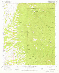 Holt Mountain New Mexico Historical topographic map, 1:24000 scale, 7.5 X 7.5 Minute, Year 1965