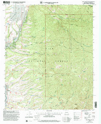 Holt Mountain New Mexico Historical topographic map, 1:24000 scale, 7.5 X 7.5 Minute, Year 1999