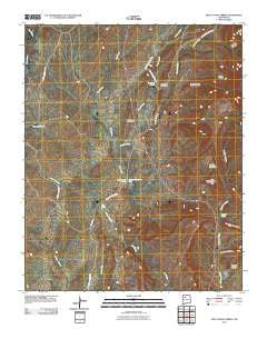 Holy Ghost Spring New Mexico Historical topographic map, 1:24000 scale, 7.5 X 7.5 Minute, Year 2010