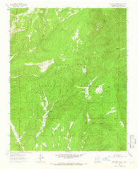 Honey Boy Ranch New Mexico Historical topographic map, 1:24000 scale, 7.5 X 7.5 Minute, Year 1961