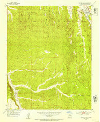 Horcado Ranch New Mexico Historical topographic map, 1:24000 scale, 7.5 X 7.5 Minute, Year 1953