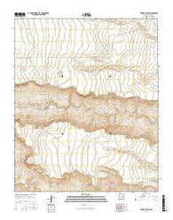 Horney Ranch New Mexico Current topographic map, 1:24000 scale, 7.5 X 7.5 Minute, Year 2017