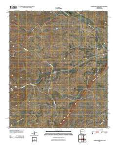Horseshoe Bend NW New Mexico Historical topographic map, 1:24000 scale, 7.5 X 7.5 Minute, Year 2010