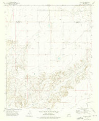 House SE New Mexico Historical topographic map, 1:24000 scale, 7.5 X 7.5 Minute, Year 1973