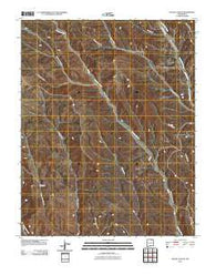 House Canyon New Mexico Historical topographic map, 1:24000 scale, 7.5 X 7.5 Minute, Year 2010