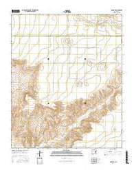 House SE New Mexico Current topographic map, 1:24000 scale, 7.5 X 7.5 Minute, Year 2017