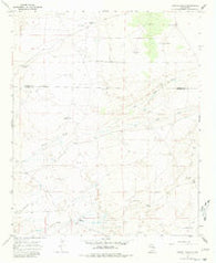 Howell Ranch New Mexico Historical topographic map, 1:24000 scale, 7.5 X 7.5 Minute, Year 1967