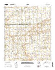 Howell Ranch New Mexico Current topographic map, 1:24000 scale, 7.5 X 7.5 Minute, Year 2017